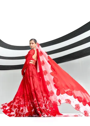 Carmine Rosarte Lehenga with Embellished Blouse and Applique Dupatta