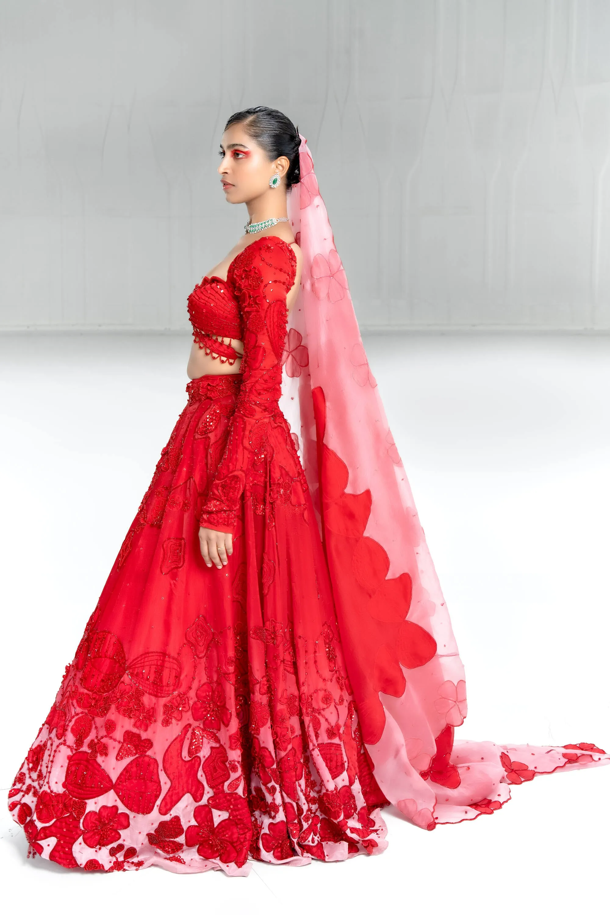 Carmine Rosarte Lehenga with Embellished Blouse and Applique Dupatta